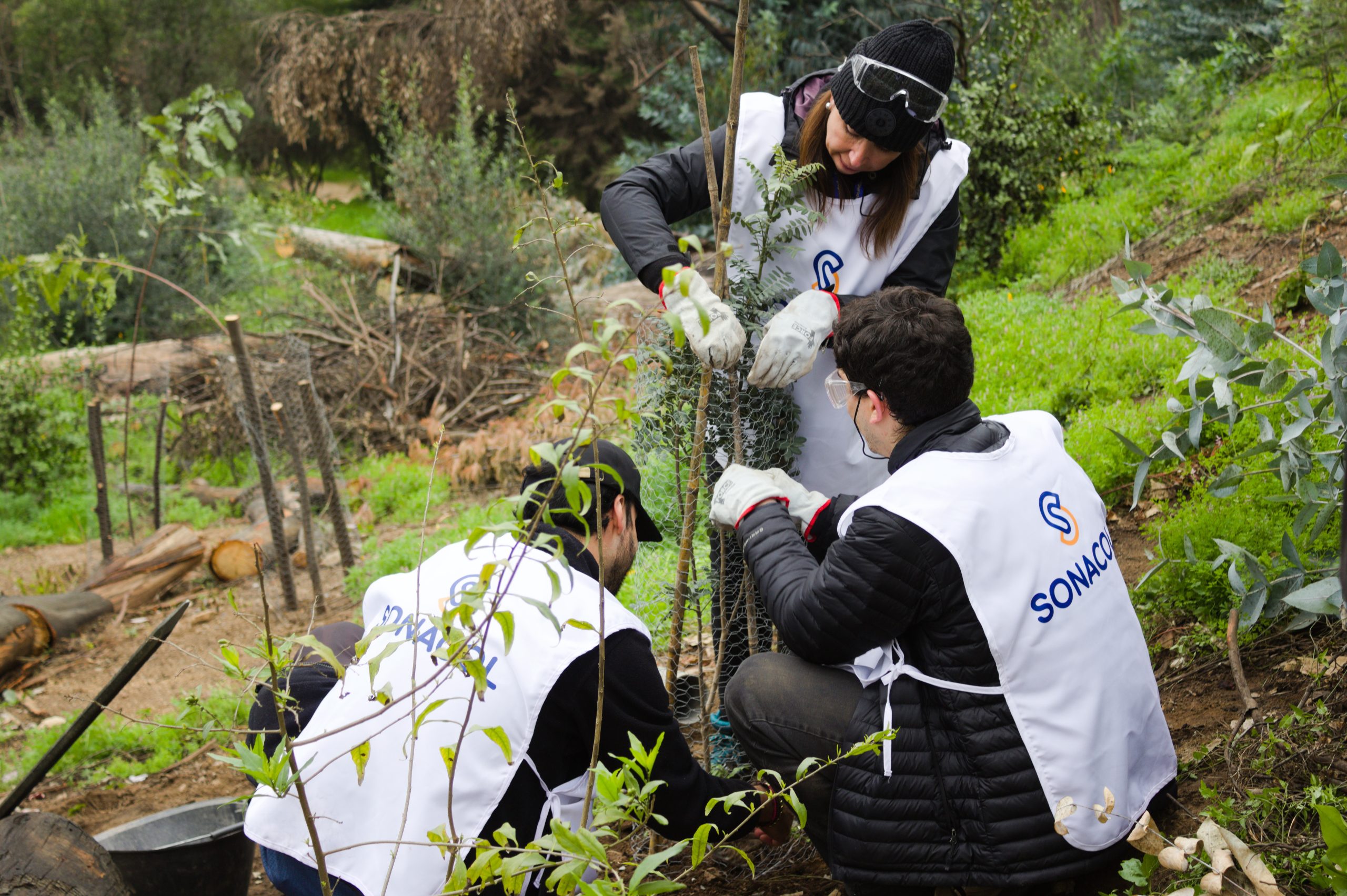 Trabajadores de Sonacol participan en voluntariado de reforestación en Jardín Botánico de Viña del Mar